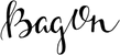 BagOn Hand-lettered Logo